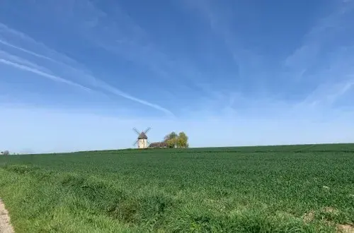 CLINEA Clinique Du Virval