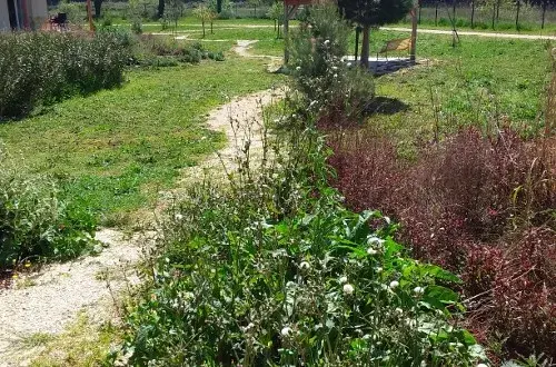 Clinique La Camargue