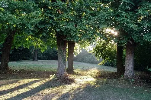 Clinique des Essarts